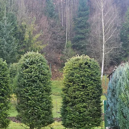 Drevenica Pri Potoku בית נופש